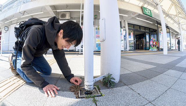 自分のまちで目に映る世界を優しく変える、鈴木純さんの「植物観察会
