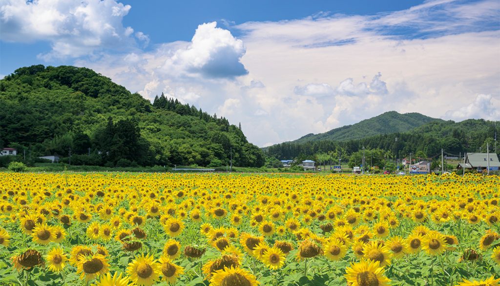 飯舘村