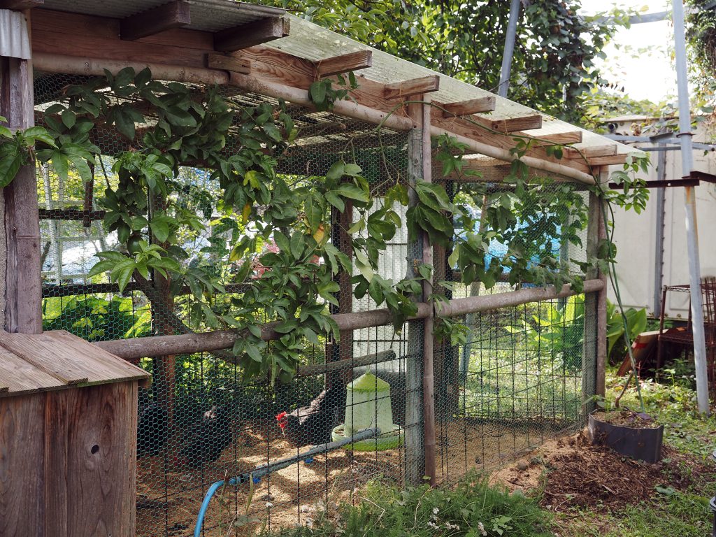 鶏小屋