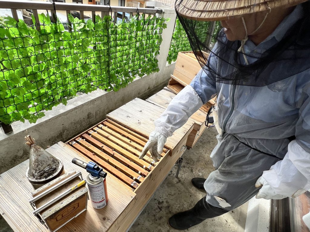 那覇市金城の住宅街で採れる希少なはちみつ『あかみね養蜂』｜那覇市金城_うるくローカルプレス