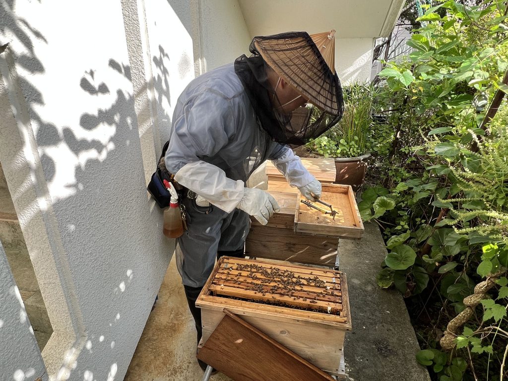 那覇市金城の住宅街で採れる希少なはちみつ『あかみね養蜂』｜那覇市金城_うるくローカルプレス