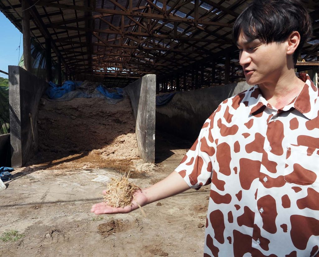 館山市須藤牧場の自家製飼料