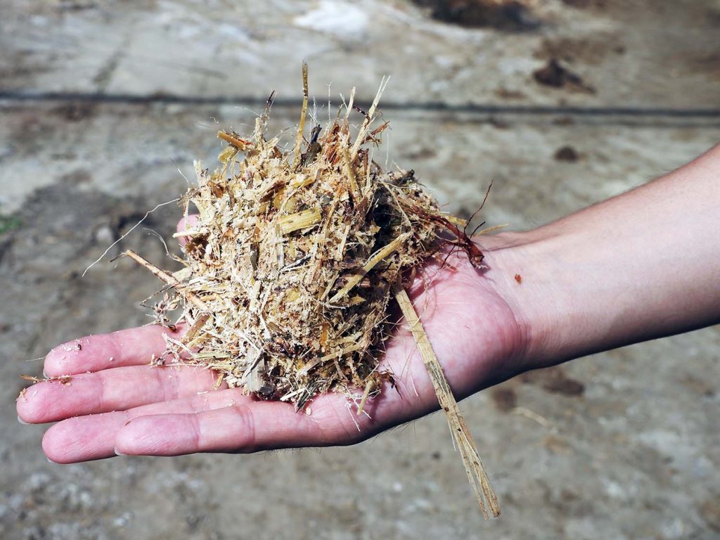 館山市須藤牧場の自家製飼料