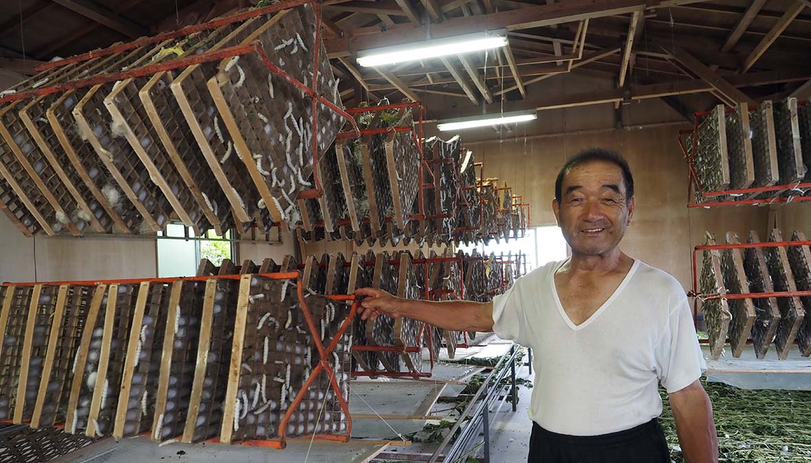 南房総唯一の養蚕農家が、繭を出荷するまで。農業従事者の現状と切実な声