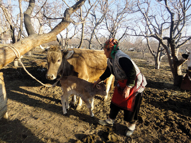 キルギス共和国の村の暮らし