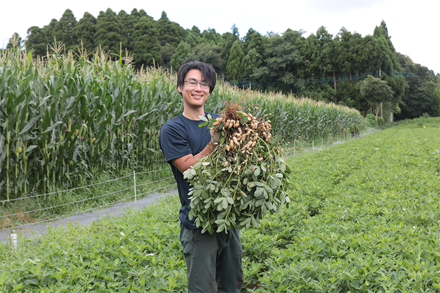 出荷開始】「あんばい農園」の完熟・適熟生落花生 SDGsな栽培で、唯一