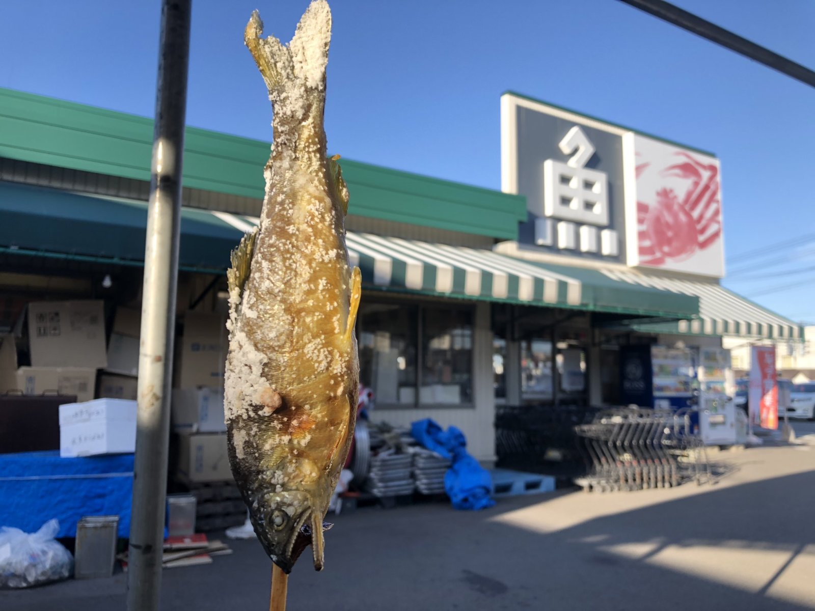 フラー株式会社_新潟イメージ写真