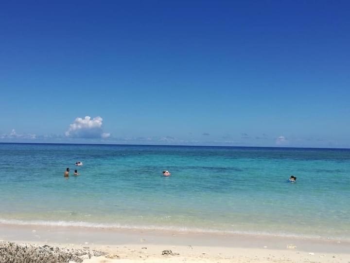 沖永良部島の海