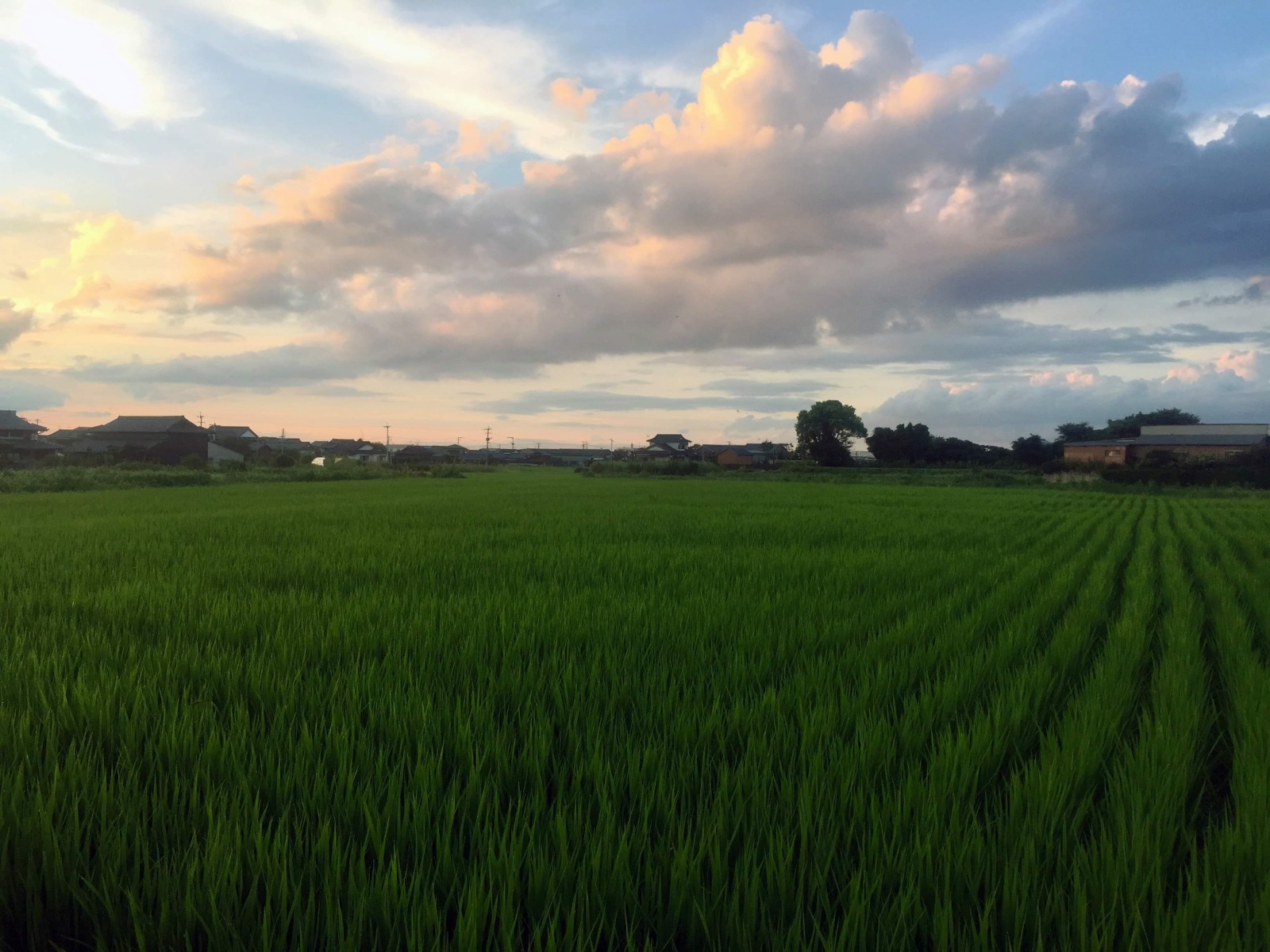 島原の風景