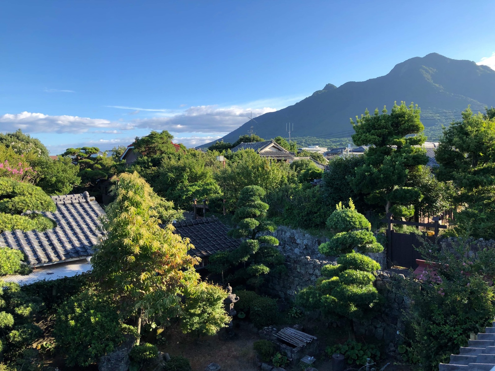 武家屋敷オフィスの2階から眺める景色