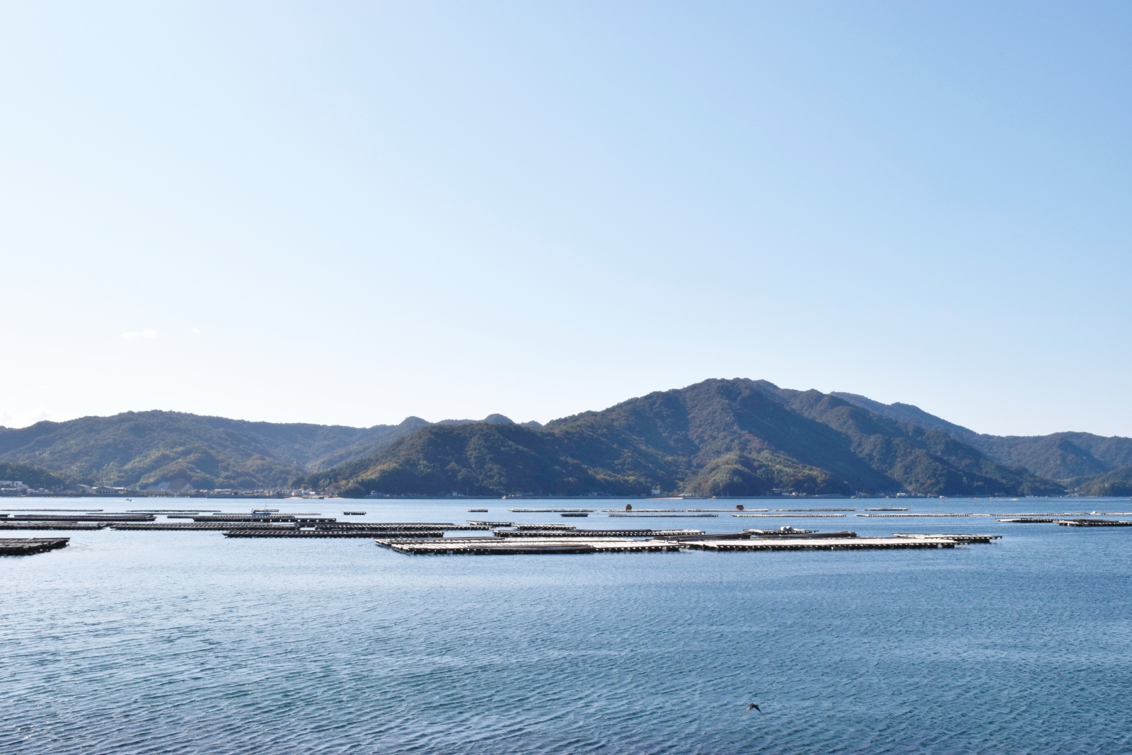 倉橋町