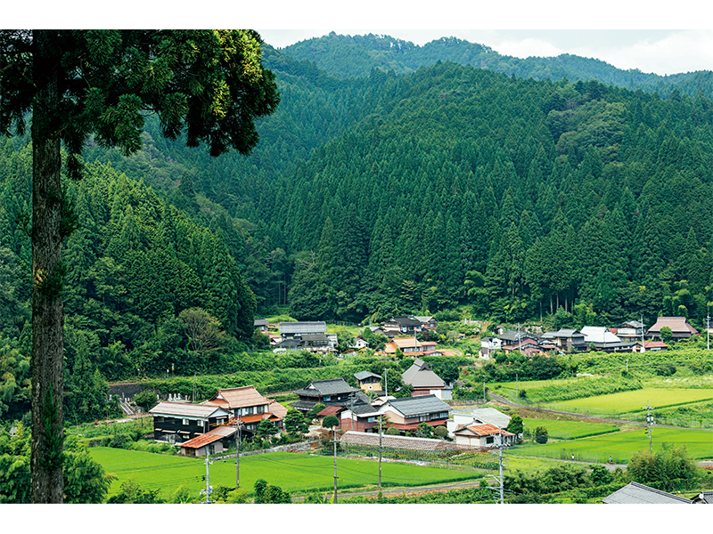 スギやヒノキが育った山に囲まれた智頭町。まちの面積の93パーセントが森林だ。