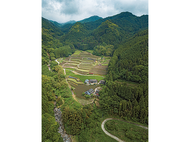 笠原集落の最奥、標高450メートルにある『天空の茶屋敷』。石積みの棚田とお茶畑に囲まれている。