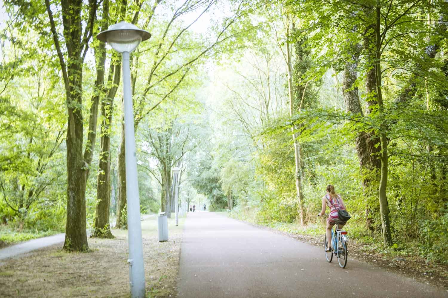 公園はアムスっ子の憩いの場。コロナ禍で人がいなくなったという。