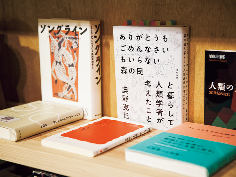 真兵さん、または海青子さんが仕入れた本が、来館者との出合いを待つかのように並べられている。