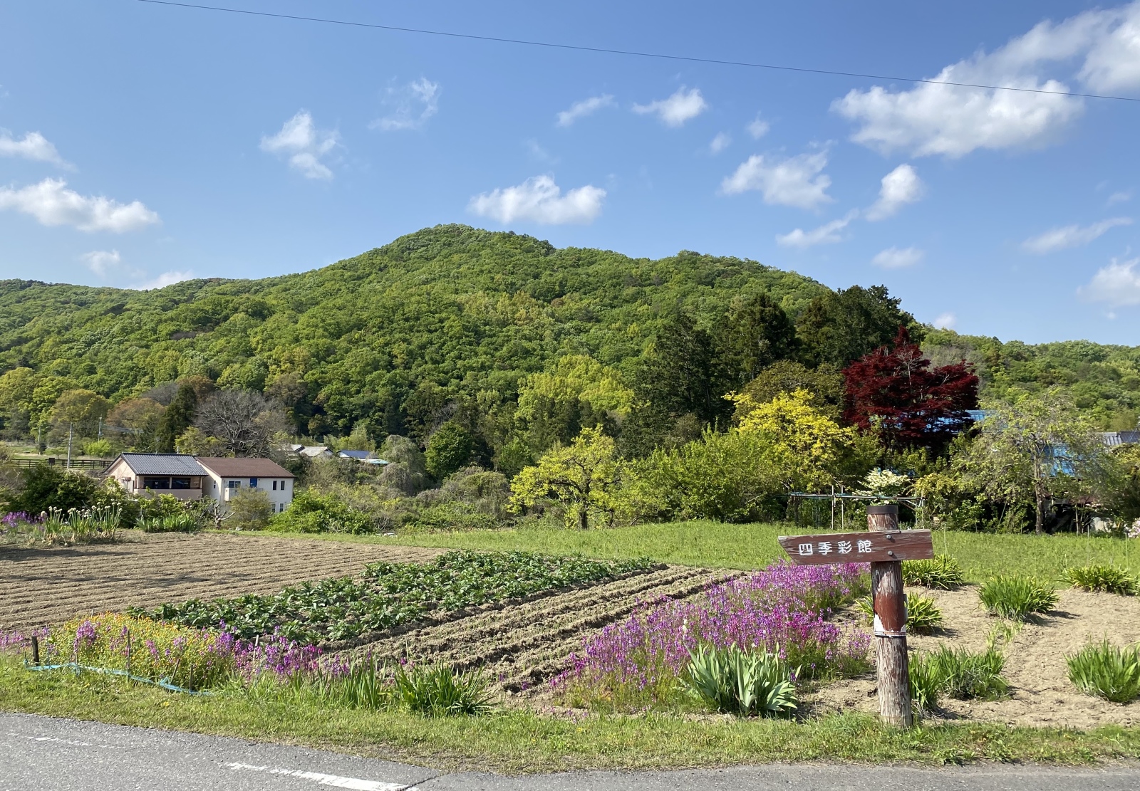 ときがわ町