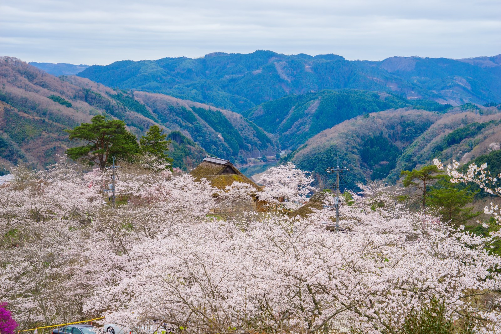 三休公園