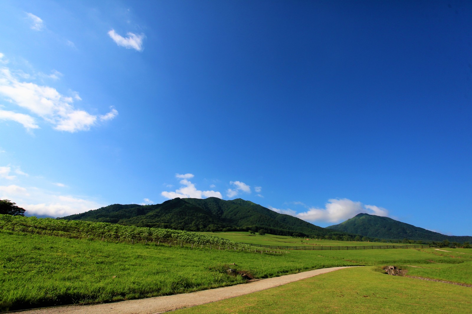 蒜山高原