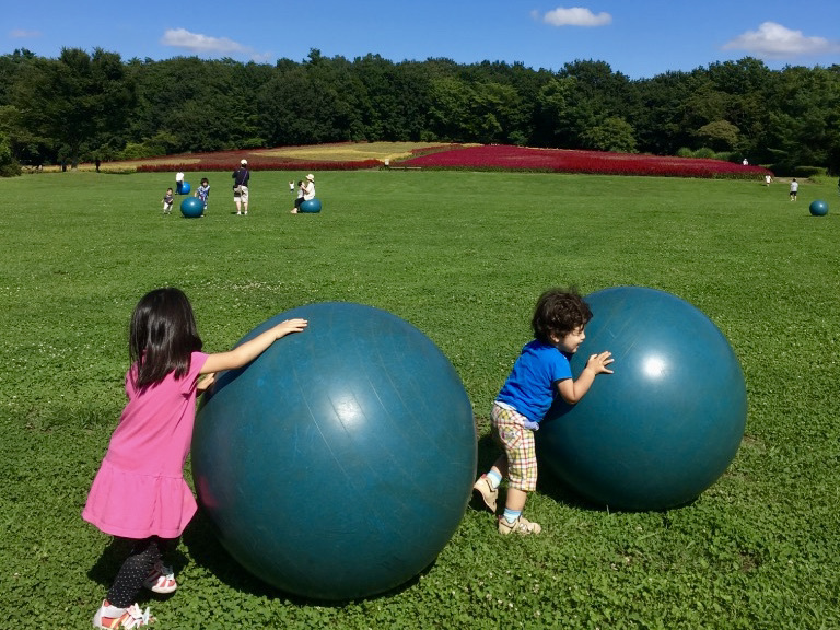 森林公園