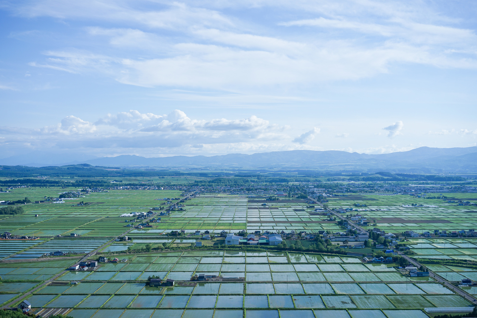 おいしい米どころでもある東川町の眺め。同町は1985年に「写真の町」宣言をし、「国際写真フェスティバル」や「写真甲子園」などを開催。