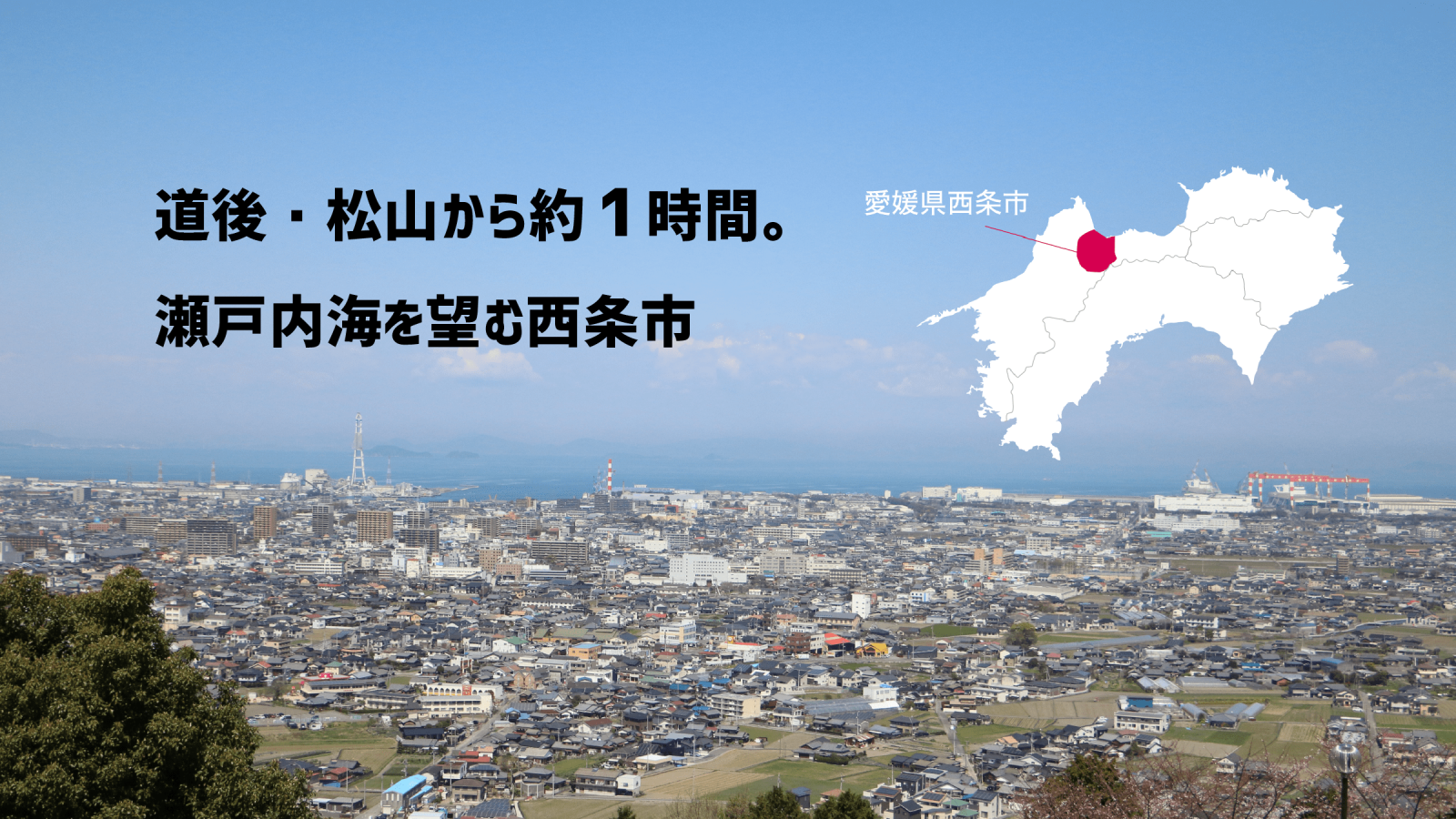 愛媛県西条市を一望した風景（【LOVE SAIJO】愛媛県西条市への移住・定住サポートサイトより）