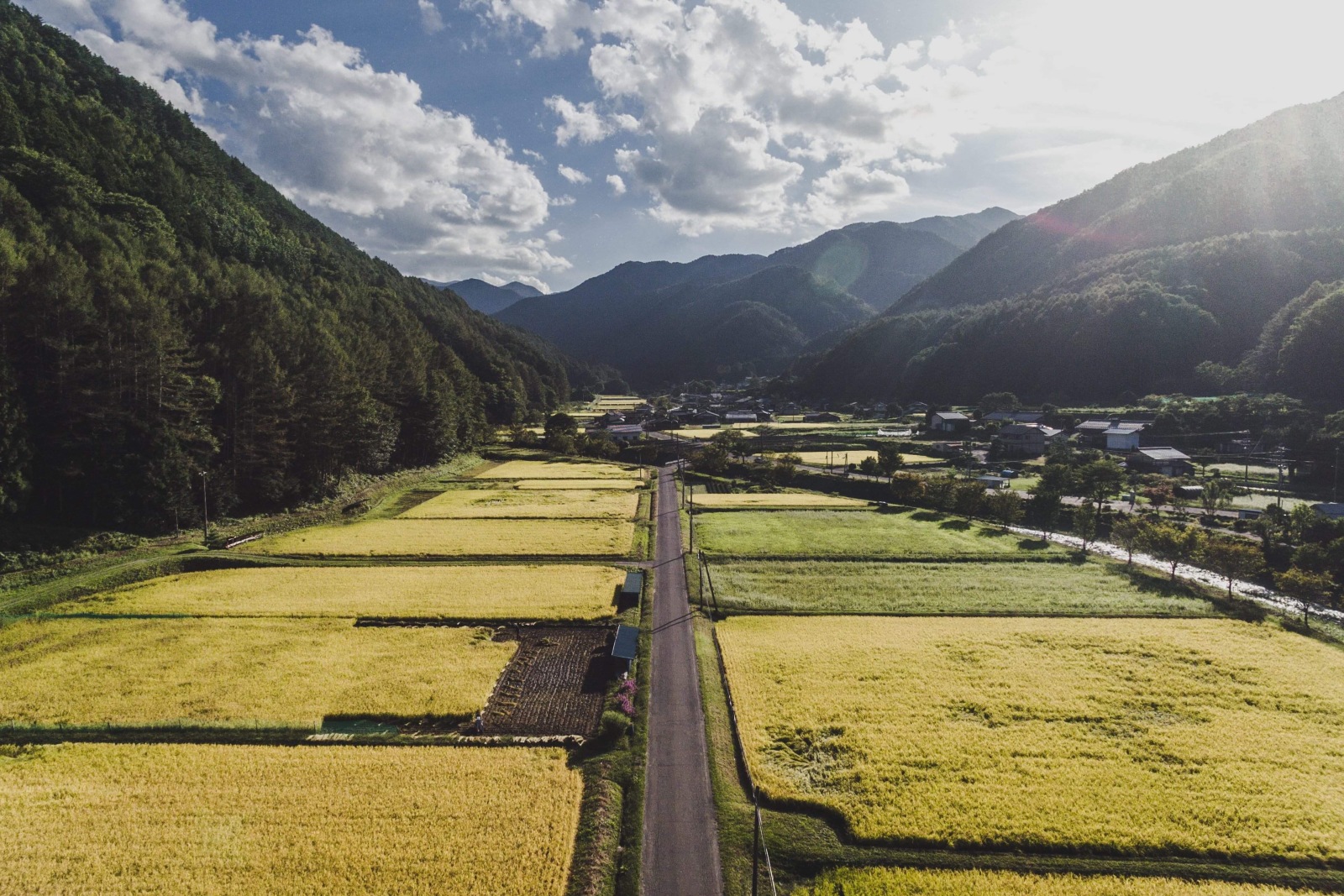 日本の原風景が残る辰野町の里山・川島エリア（写真提供：PINTO. 小口広希）