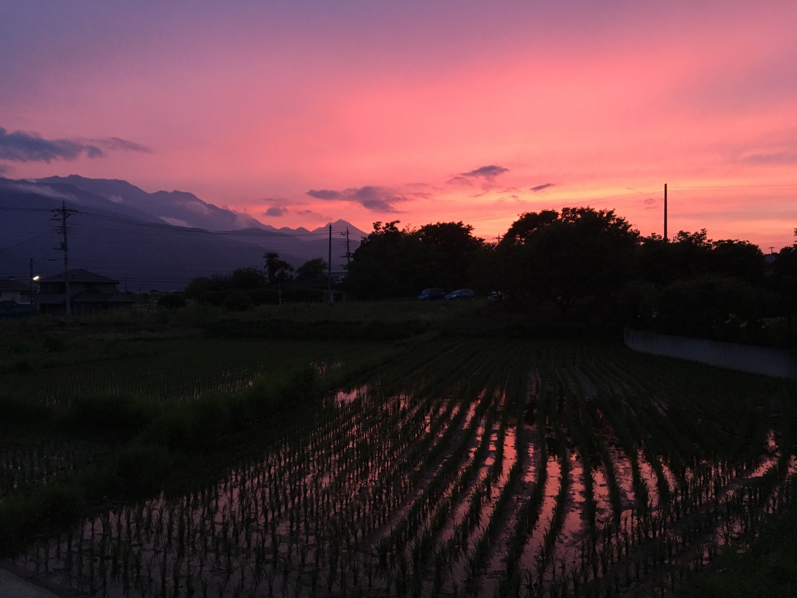 あぜ道の夕暮れ