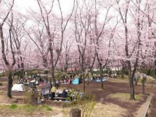 バーベキュー場