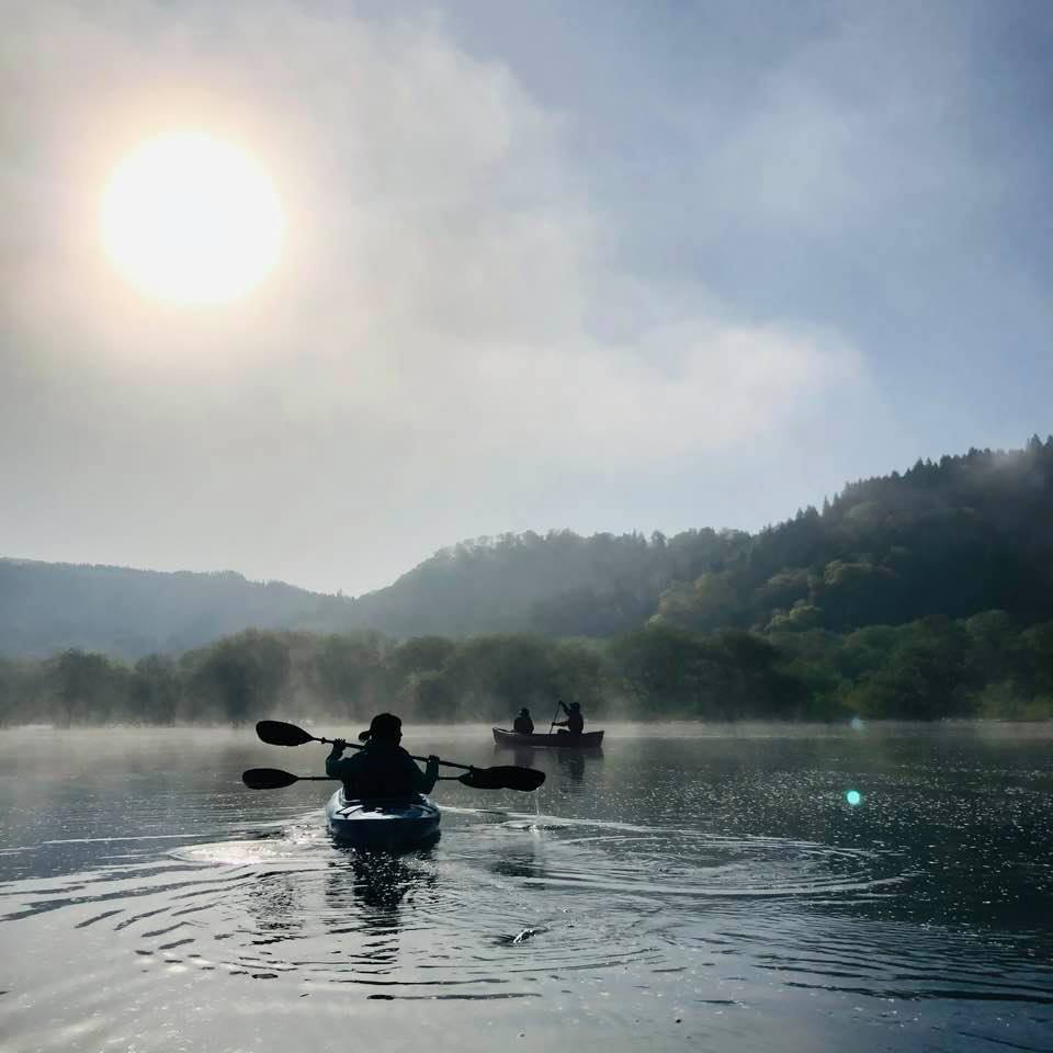 ライク・ア・バード